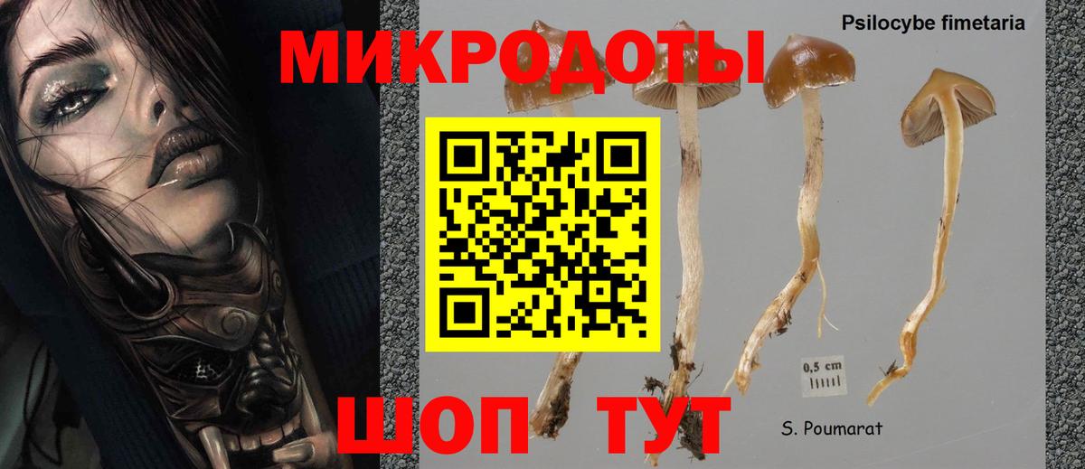 Химки  дарнет шоп  Вход с VPN  Галлюциногенные грибы MAGIC MUSHROOMS 