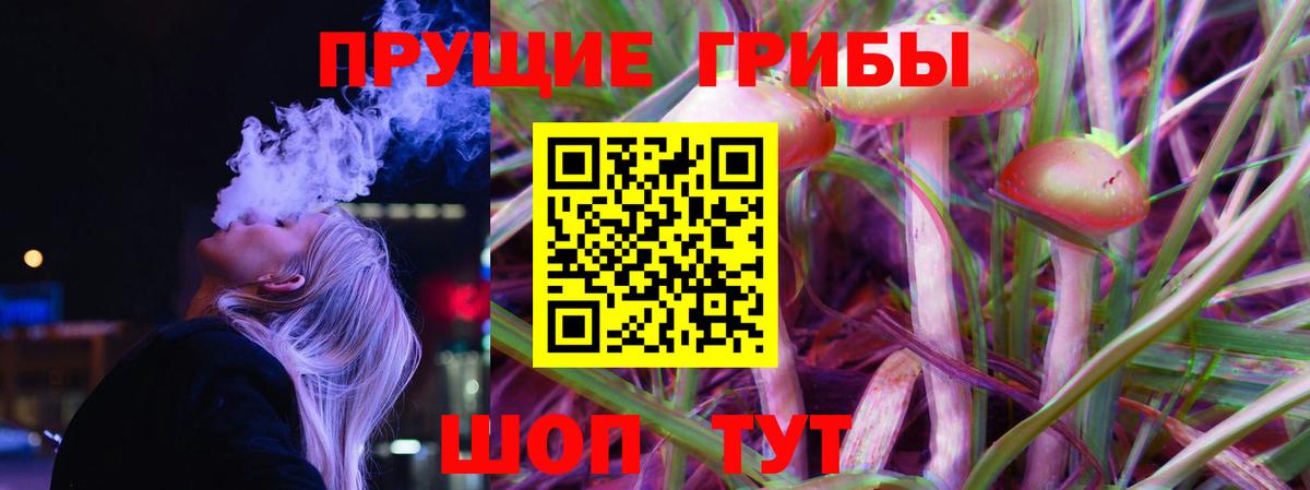 Псилоцибиновые грибы Psilocybe Химки